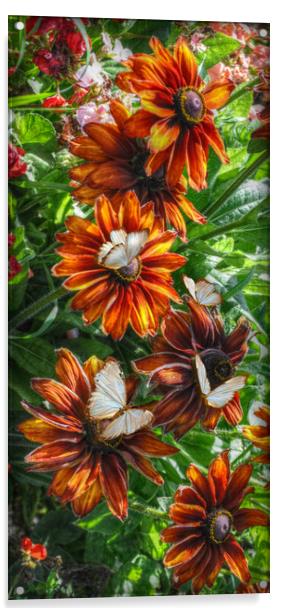 flowers and butterflies Acrylic by sue davies