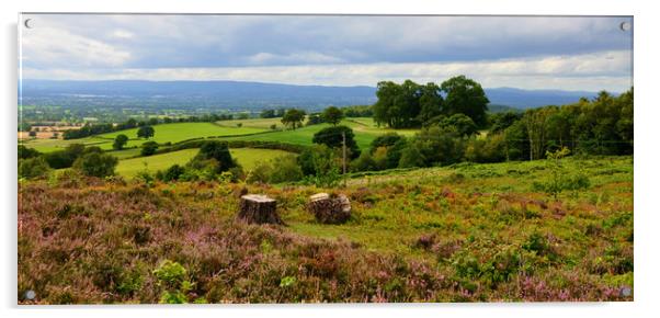 what a view Acrylic by sue davies