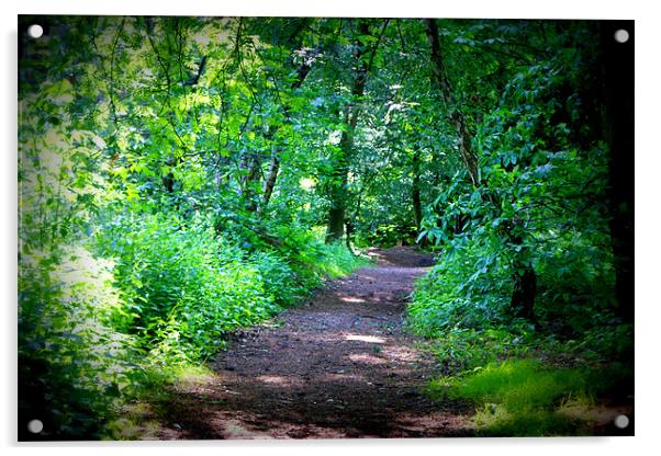 Forest Trail Acrylic by Gail Surplice