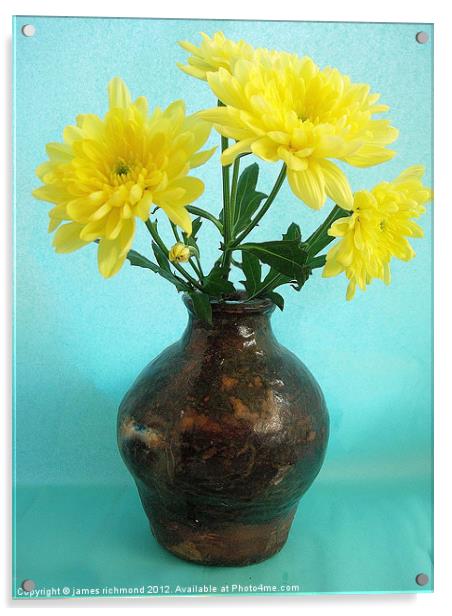 Yellow Chrysants Acrylic by james richmond