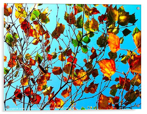 Autumn Leaves - 3 Acrylic by james richmond