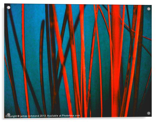Red Wicker - Abstract Acrylic by james richmond