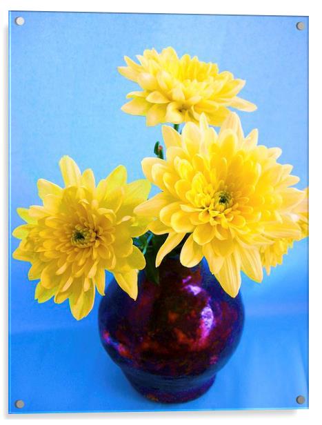 Golden Yellow Chrysants Acrylic by james richmond