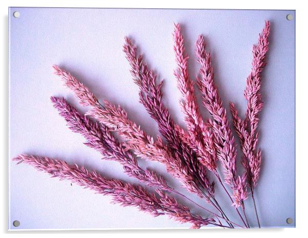 Grass Acrylic by james richmond