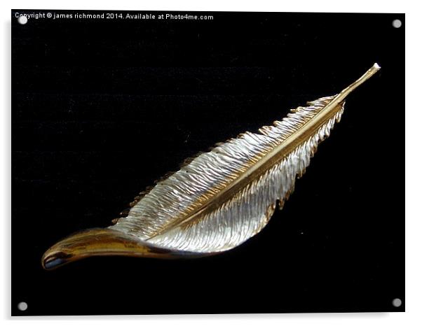 Feather on Black Acrylic by james richmond