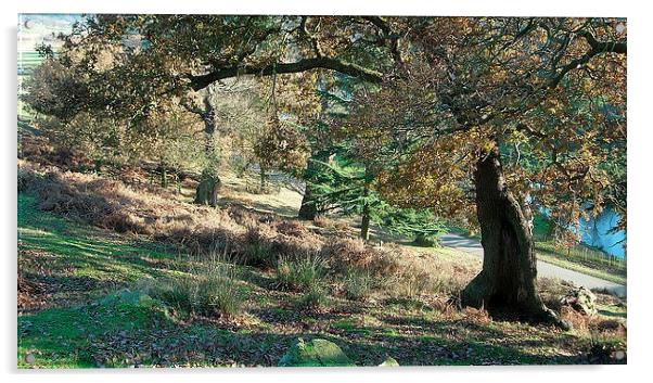 Under the Old Oak Acrylic by james richmond