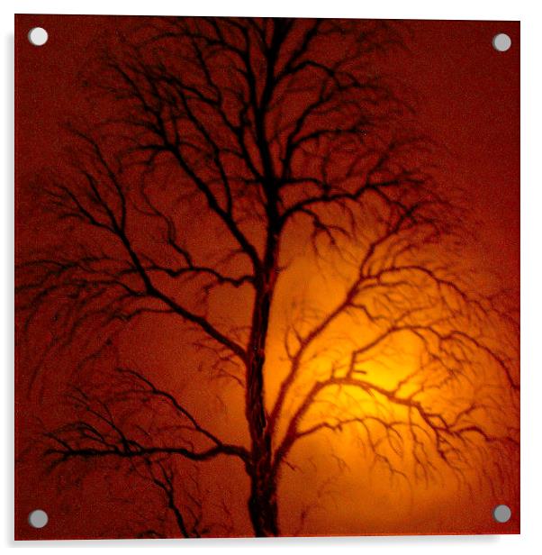 Misty Sunset Acrylic by james richmond