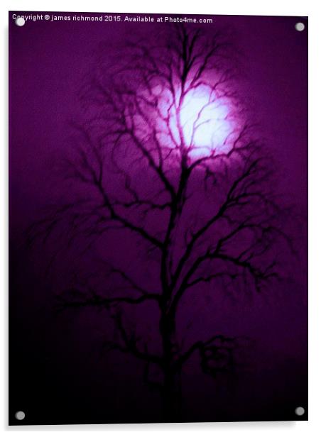 Purple Night  Acrylic by james richmond