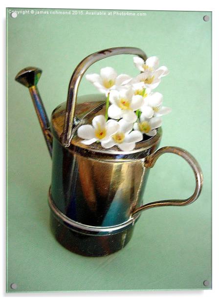  Floral Watering Can Acrylic by james richmond