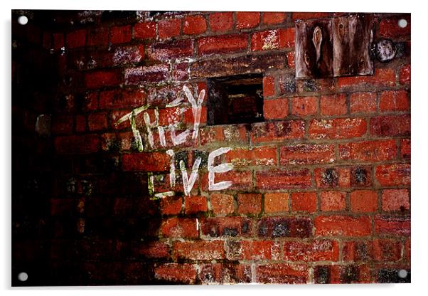 Graffiti old bricks Acrylic by jane dickie