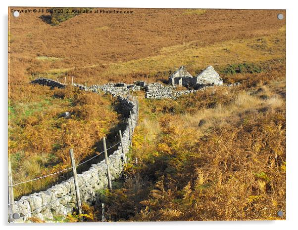 Ruined Cottage in Autumn Acrylic by Jill Bain