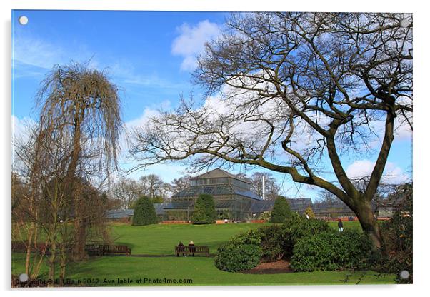 Glasgow Botanic Gardens Acrylic by Jill Bain