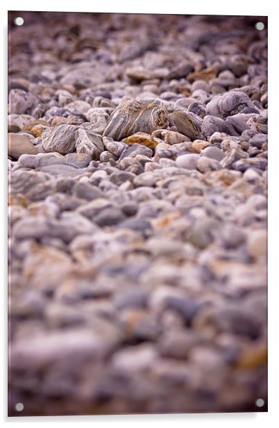 Pebbles on the beach Acrylic by Ben Gregg-Waller