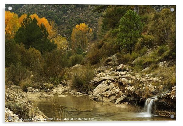 Autumn Landscape Acrylic by Josep M Peñalver