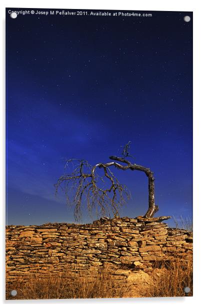 Nocturne with dead tree Acrylic by Josep M Peñalver