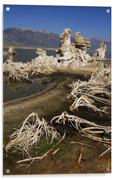 USA. California. Mono Lake. Lee Vining. Sierra Nev Acrylic by Josep M Peñalver