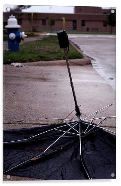 Dead Umbrella II Acrylic by Whitney Orr