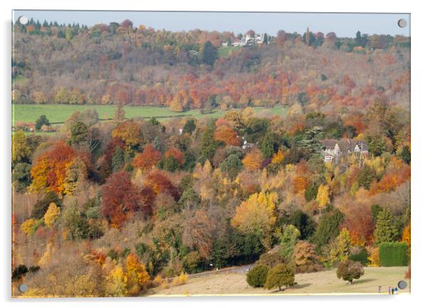 Box Hill Autumn Acrylic by Clive Eariss