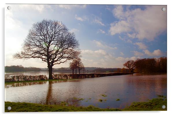 Winter Floods In Cobham Acrylic by Clive Eariss