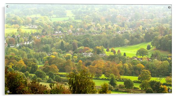 Box Hill View Point Acrylic by Clive Eariss