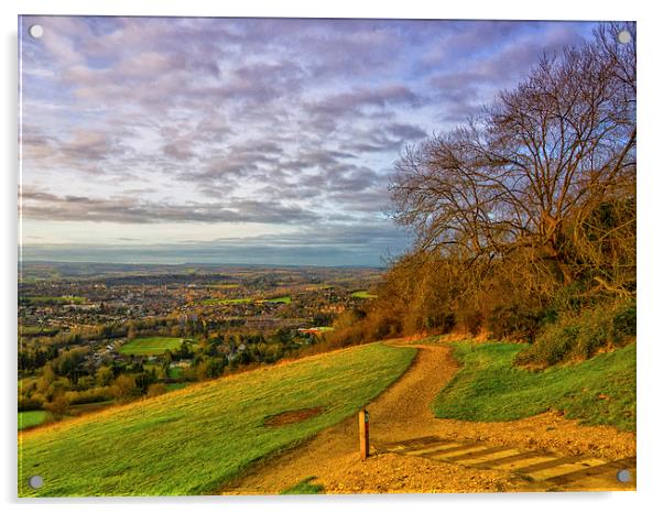  View To Dorking Acrylic by Clive Eariss