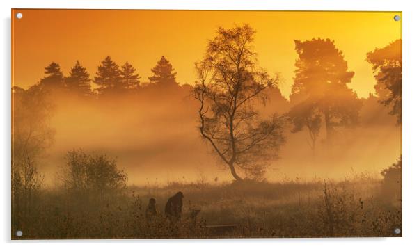 Oxshott Heath Surrey Acrylic by Clive Eariss