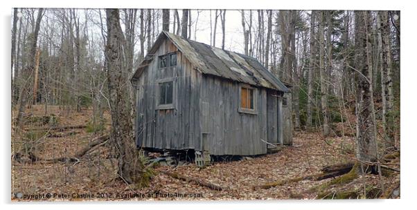 Abandoned Camp in Spring Acrylic by Peter Castine