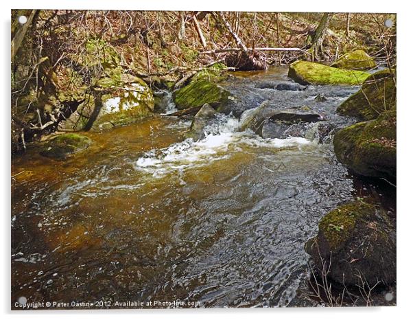 Mountain Stream Acrylic by Peter Castine