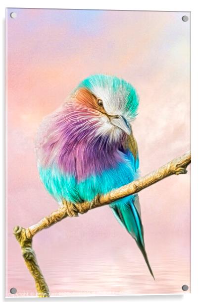 Lilac breasted roller perched on a tree branch Acrylic by Brian Tarr