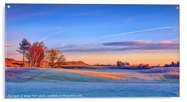 Frosty morning sunrise  Acrylic by Brian Tarr