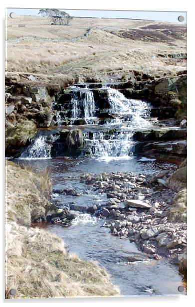 Hidden Waterfall Acrylic by Edward Denyer