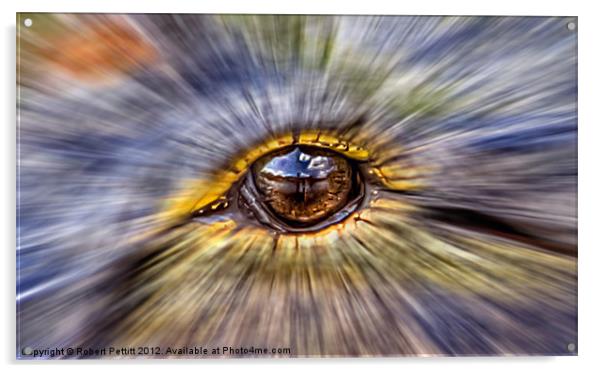 Into the eye Acrylic by Robert Pettitt