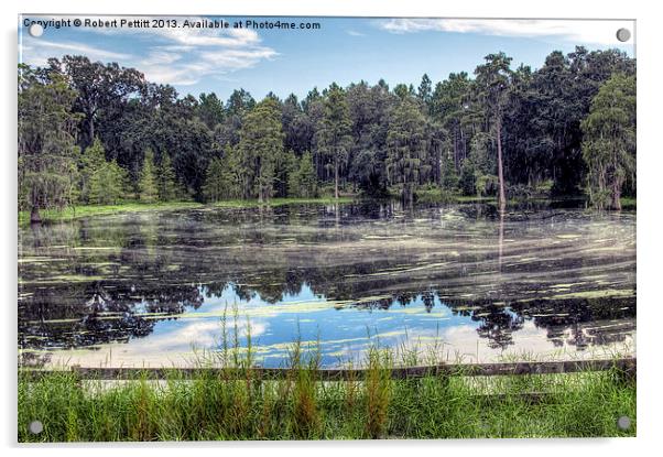 Pond and Reflection Acrylic by Robert Pettitt