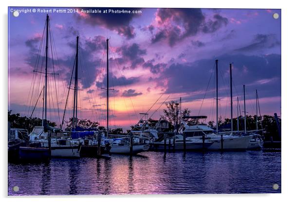 Sunset in Florida Acrylic by Robert Pettitt