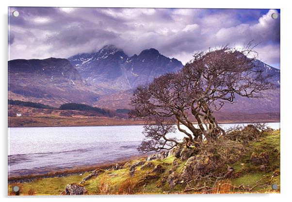 The Cuillins, Skye Acrylic by Macrae Images