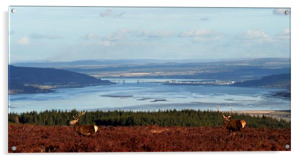 View down the Beauly Firth to Inverness Acrylic by Macrae Images