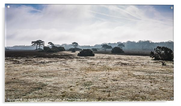 New Forest Panorama Acrylic by Ian Grainger