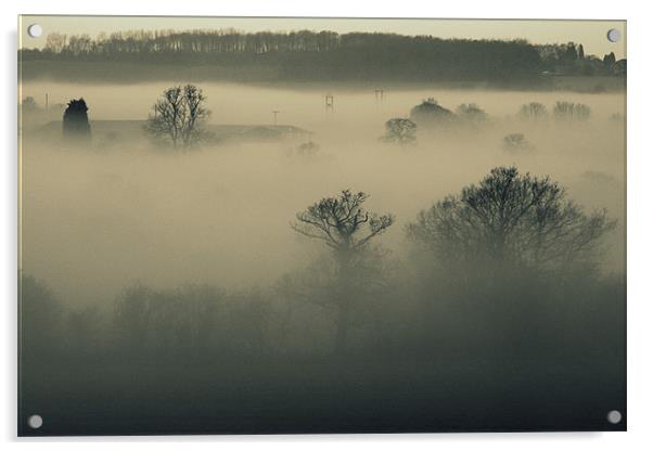 Fog Acrylic by Rebecca Briggs