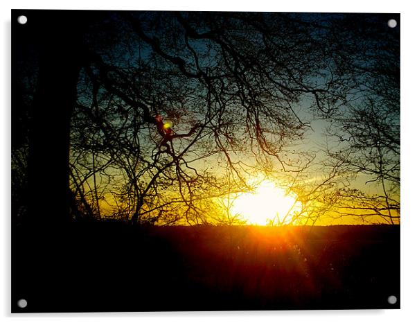 Sun Set Acrylic by Jack Roebuck