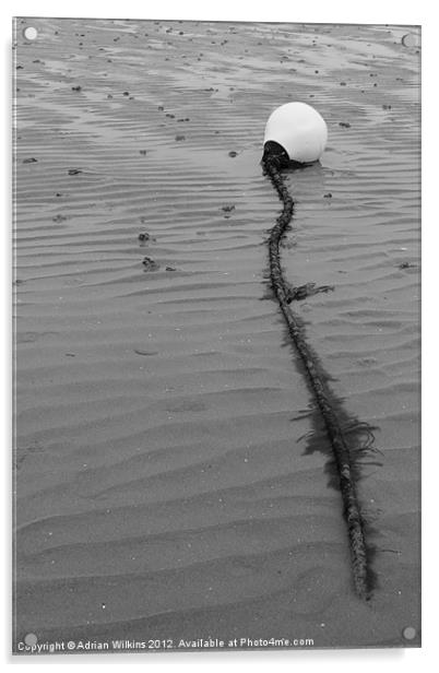 Beach Buoy Acrylic by Adrian Wilkins
