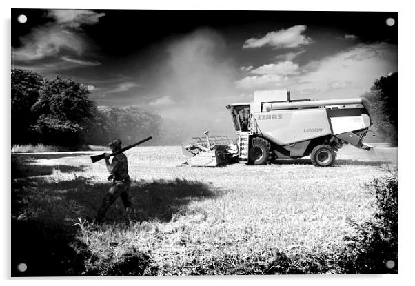  Harvest Shoot Acrylic by Adrian Wilkins