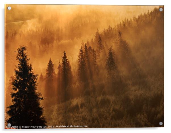 Morning Mist Acrylic by Fraser Hetherington