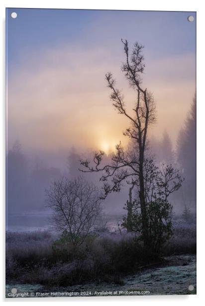 Misty Morning Acrylic by Fraser Hetherington