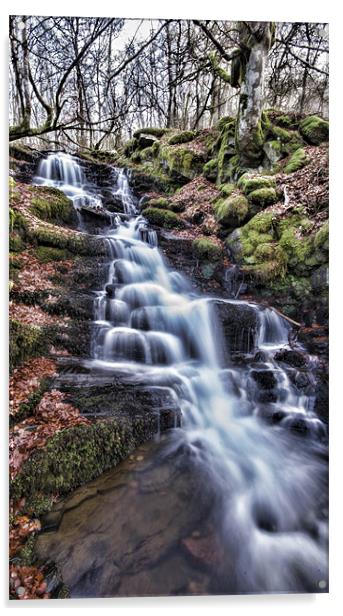 Feldy Waterfall Acrylic by Fraser Hetherington