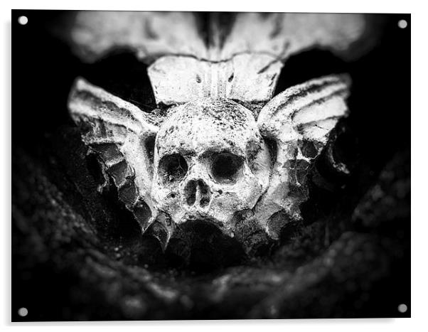 Skull Sculpture Acrylic by Fraser Hetherington