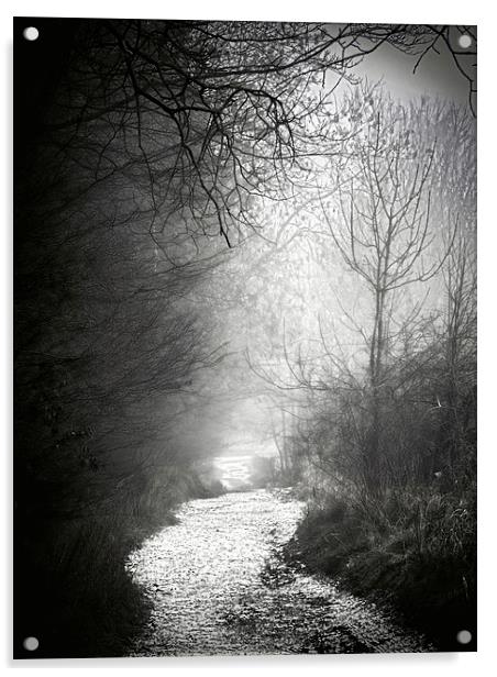 Frosty Foggy Path Acrylic by Fraser Hetherington