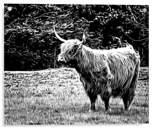 Highland Cow Carved Acrylic by Fraser Hetherington