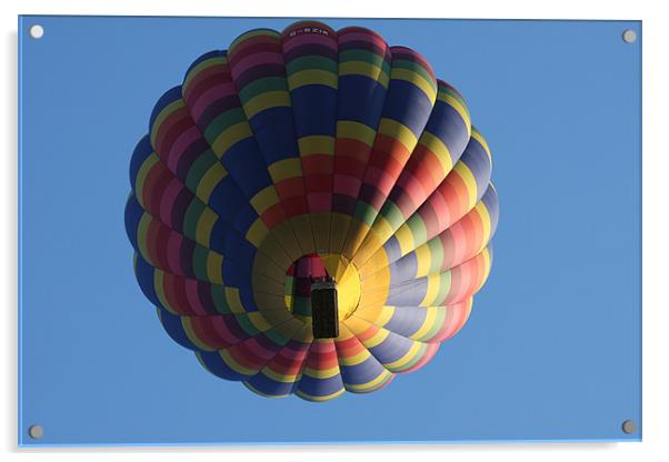 Hot Air Balloon Acrylic by Ian Shadlock