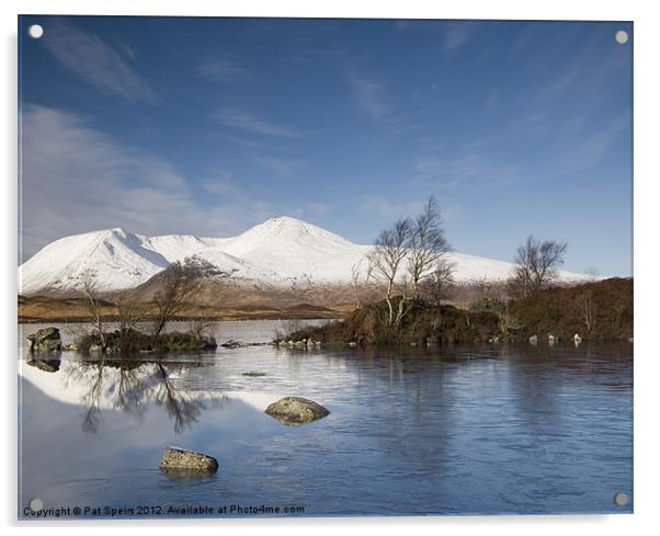 Rannoch Moor in Winter Acrylic by Pat Speirs