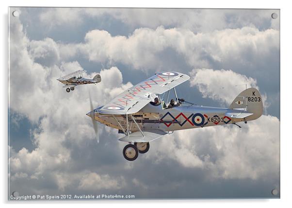 Hawker Demon Acrylic by Pat Speirs